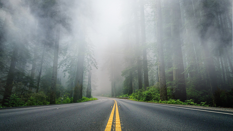 Endowus Q1 2023 Performance Review